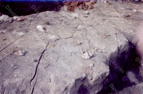 Dexpan Construction Site Preparation, Rocky Land Clearing