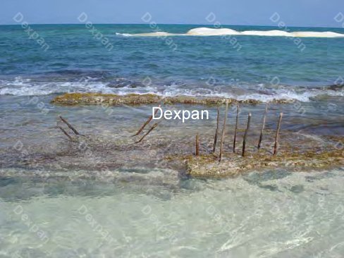 Dexpan Non Explosive Underwater Rock Demolition