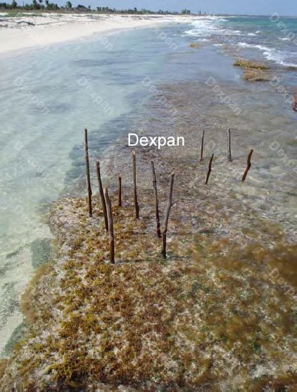 Dexpan Non Explosive Underwater Rock Demolition