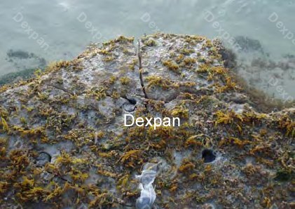 Dexpan Non Explosive Underwater Rock Demolition