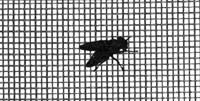 wire mesh, wire cloth, insect screen, tela metalica